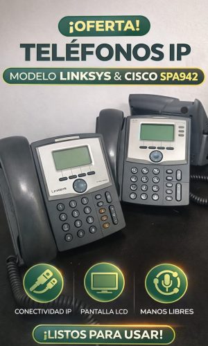 WhatsApp Image 2026-01-19 at 11.06.16 AM